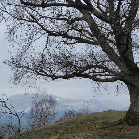 Gite Des 3 Arbres Aramits Exterior foto